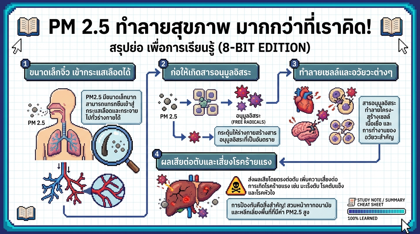PM 2.5 ทำลายสุขภาพ มากกว่าที่เราคิด! รู้ทันภัยเงียบใกล้ตัว