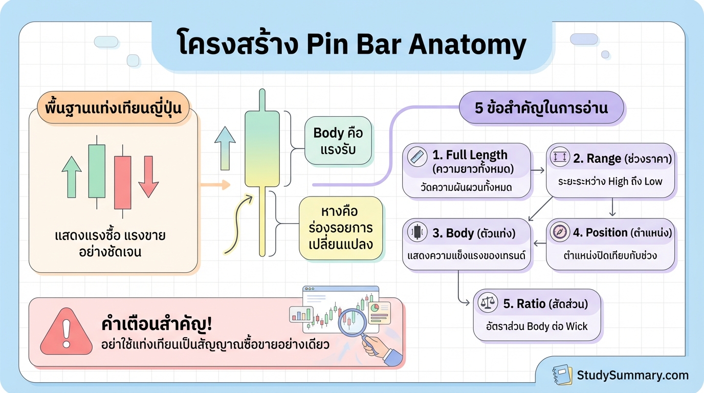 Pin Bar Anatomy: ไขความลับแท่งเทียนญี่ปุ่นฉบับเข้าใจง่าย
