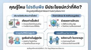 คุณรู้ไหมโปรตีนพืช มีประโยชน์กว่าที่คิด? ทางเลือกสุขภาพดีที่คุณอาจมองข้าม