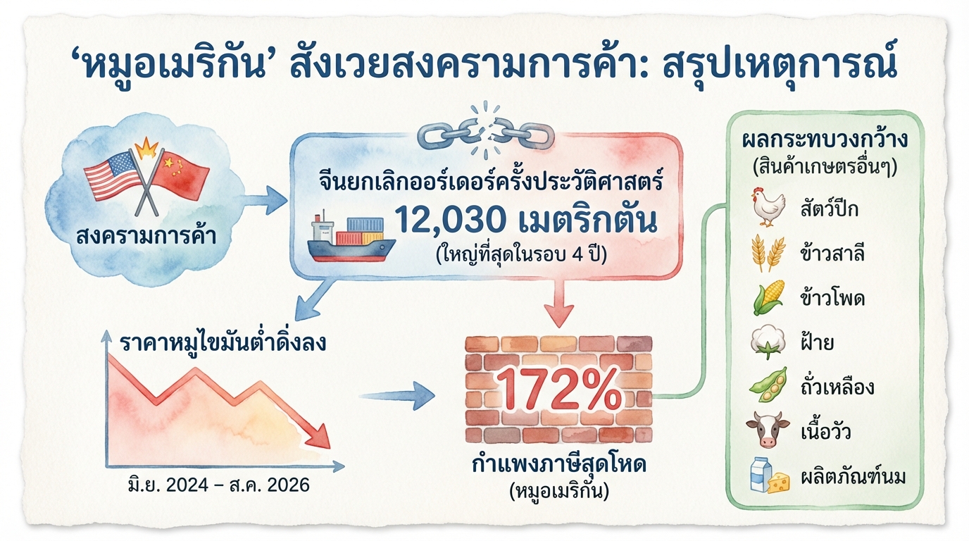 ‘หมูอเมริกัน’ สังเวยสงครามการค้า จีนยกเลิกออร์เดอร์หมื่นตัน
