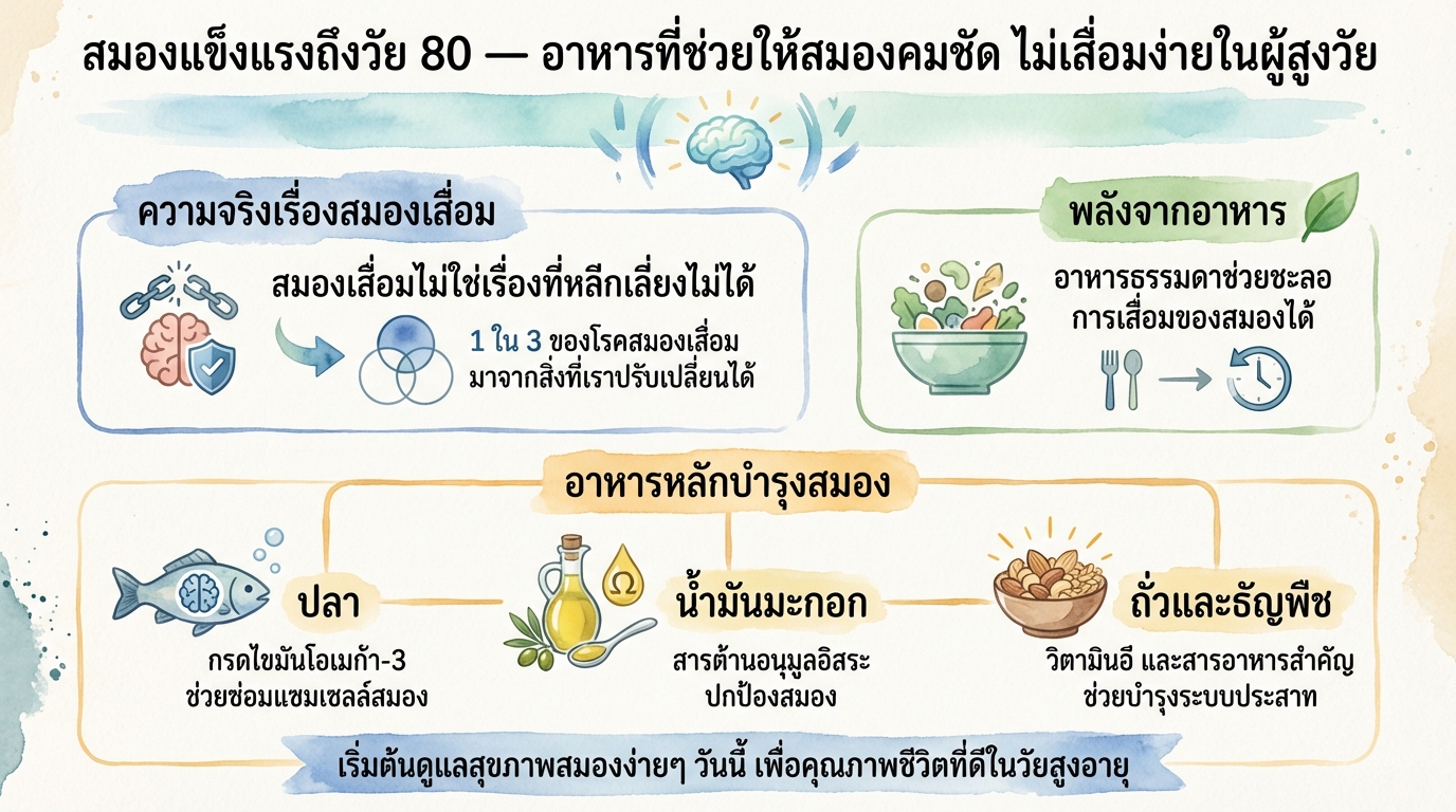 สมองแข็งแรงถึงวัย 80: อาหารบำรุงสมองให้คมชัด ไม่เสื่อมง่าย