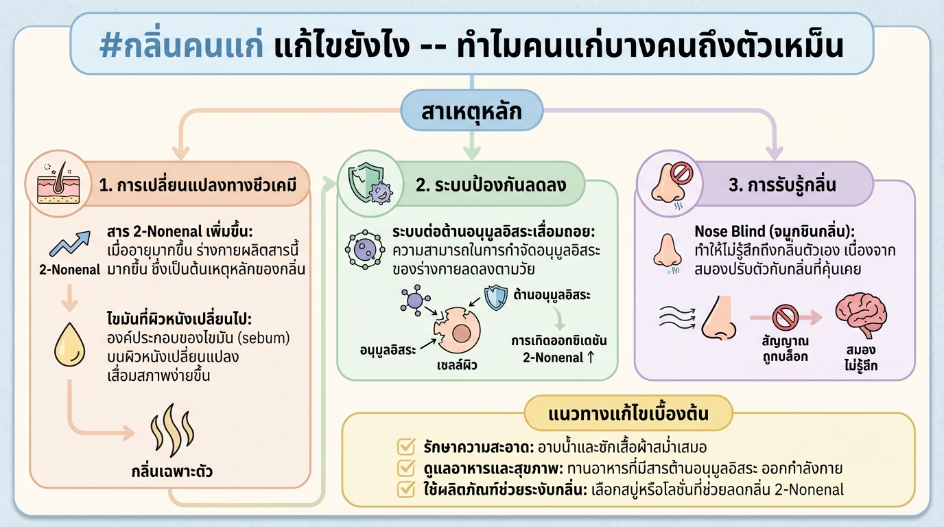 #กลิ่นคนแก่ แก้ไขยังไง — ทำไมคนแก่บางคนถึงตัวเหม็น | การเงิน