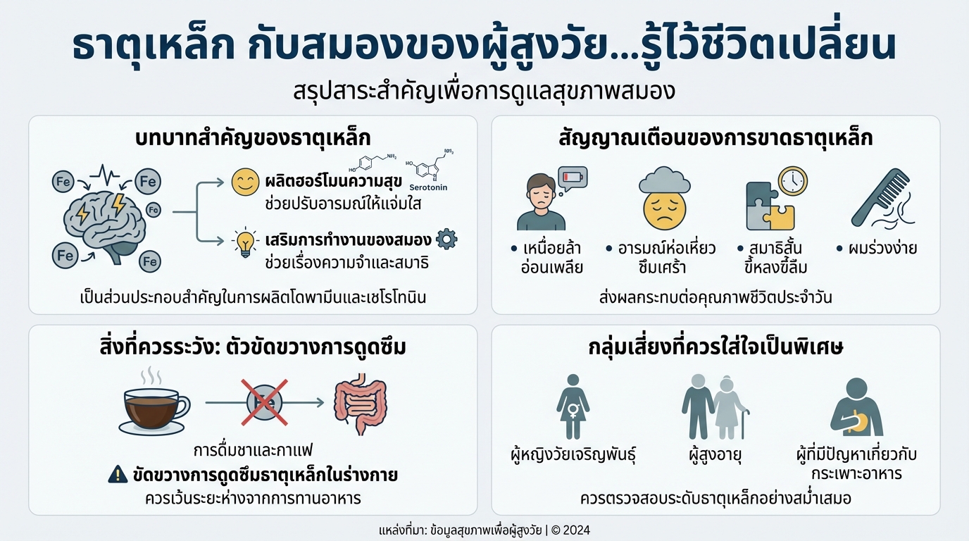 ธาตุเหล็ก กับสมองผู้สูงวัย: รู้ทัน ป้องกัน หมดไฟ