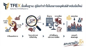 อินโฟกราฟิกสรุปเรื่อง TFEX ขั้นพื้นฐาน: เรียนรู้การทำกำไรในตลาดหุ้น | แกะกราฟกับกุ๊ก